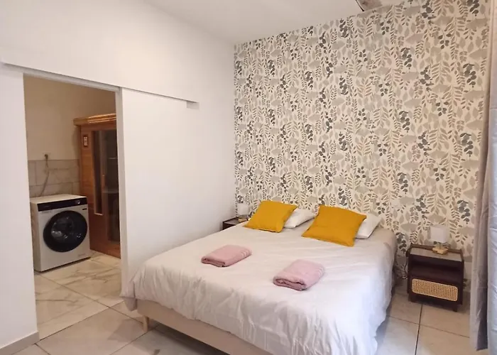 Charmant T2 Cosy Avec Sauna Prive & Cour En Plein Coeur De La Ville